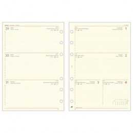 Kalendárium betét, tervező, heti, "L", SATURNUS, chamois 2026